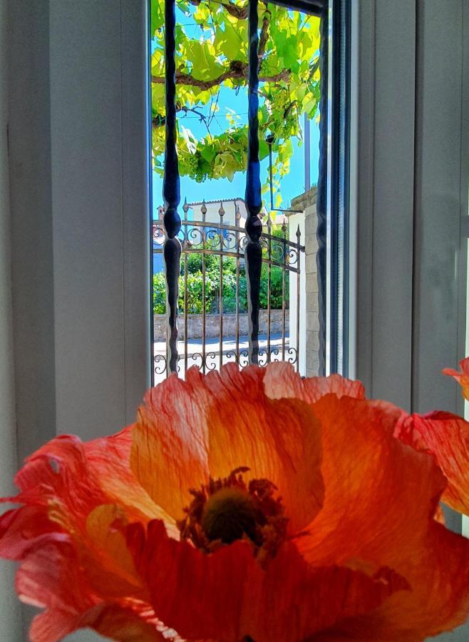 Casa Isabella B&B Koper Bagian luar foto